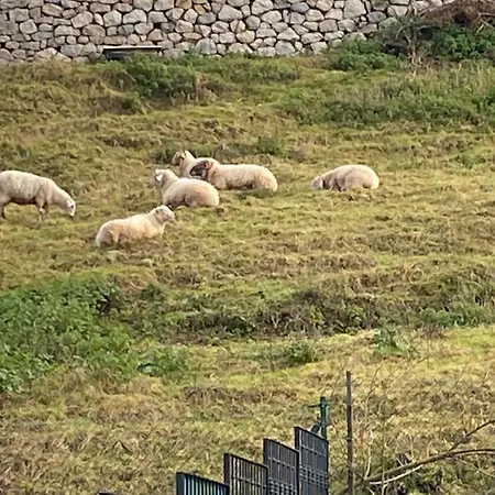 La Casa De Fito Cerca Del Centro De Comillas