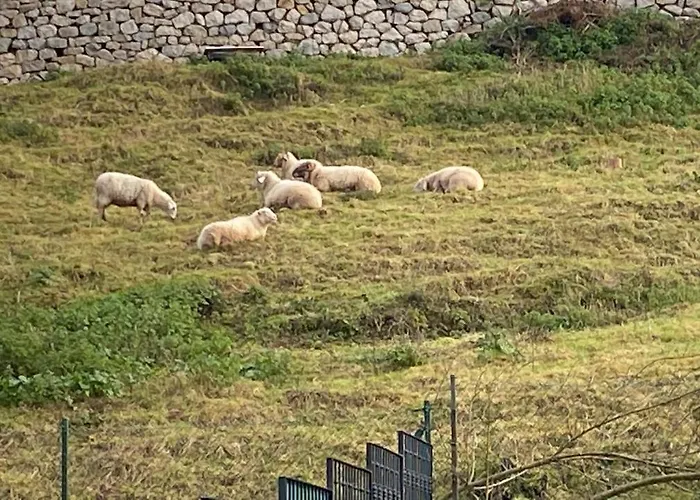 La Casa De Fito Cerca Del Centro De Comillas